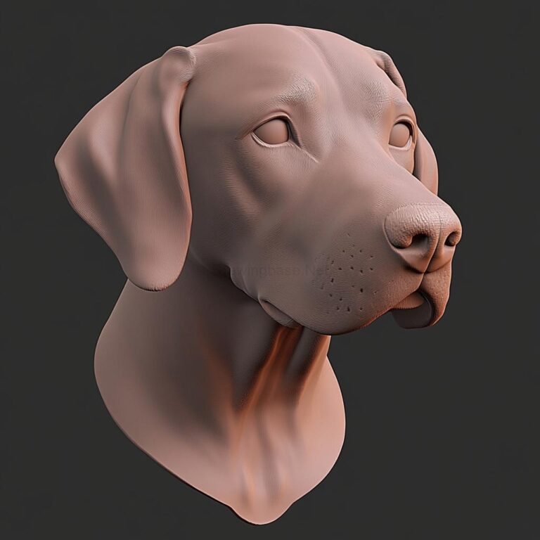 Read more about the article 3d Dog Face Model