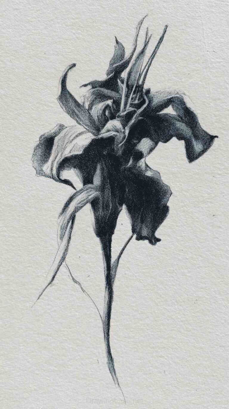 Read more about the article Sketch Drawing Ideas part 14