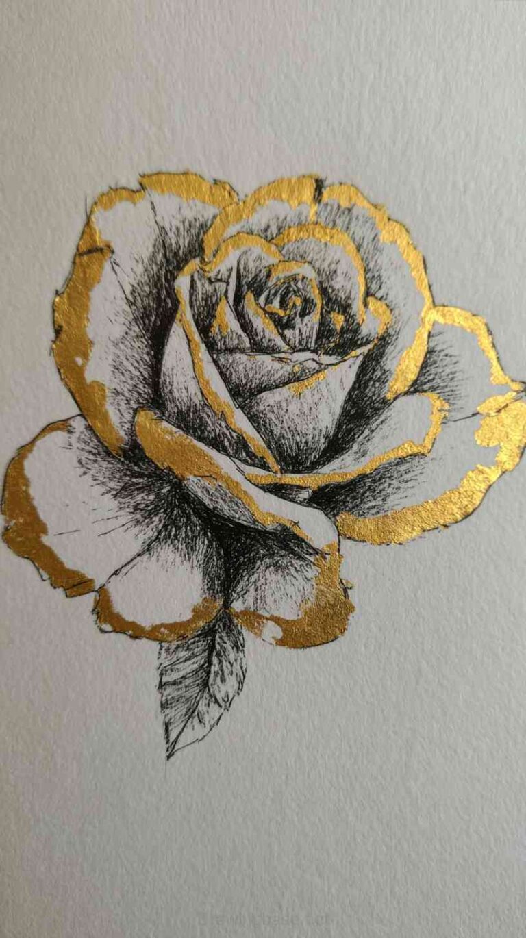 Read more about the article Part 3 Rose Drawing Ideas