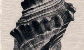 Part 1 Shell Drawing Ideas