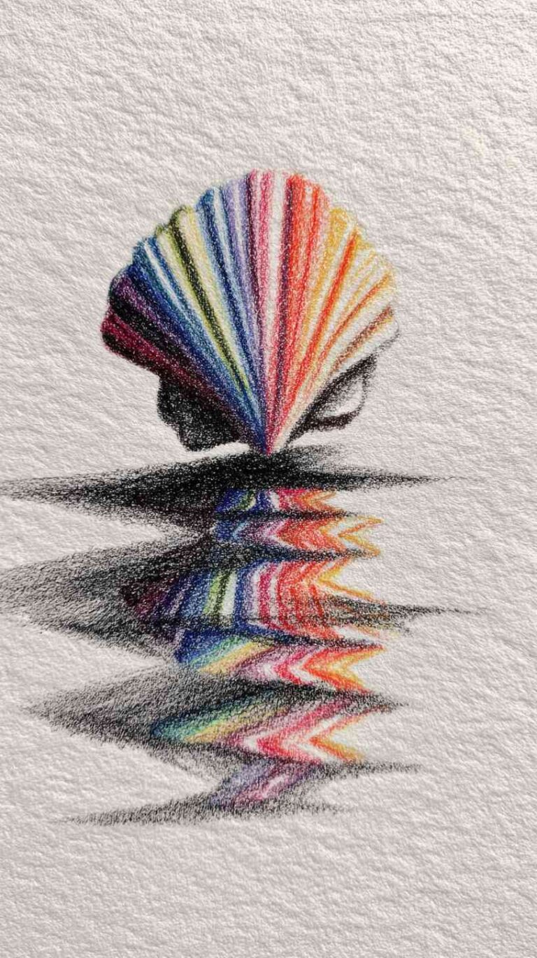 Read more about the article Part 2 Shell Drawing Ideas
