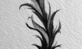 Part 2 Tattoo Drawing Ideas